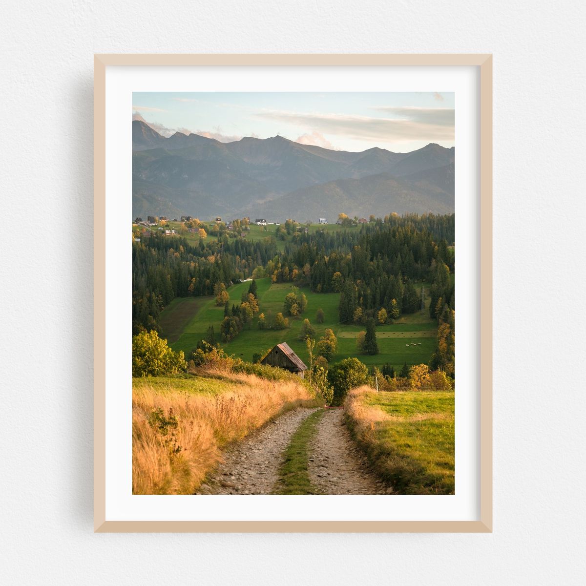 Farm Road, Ząb 01 – image 1 of 12