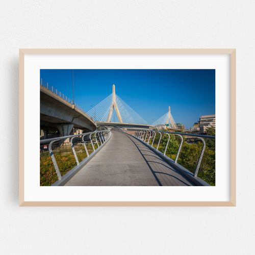 The Leonard P. Zakim Bunker Hill Bridge 02
