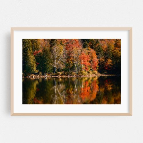 Autumn Color on Tupper Lake 01