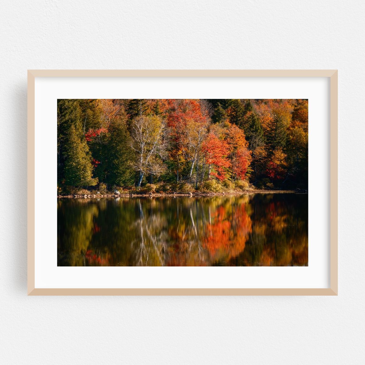 Autumn Color on Tupper Lake 01 – image 1 of 6