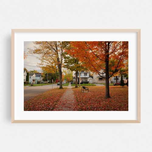 Autumn at Washington Park, Dunkirk
