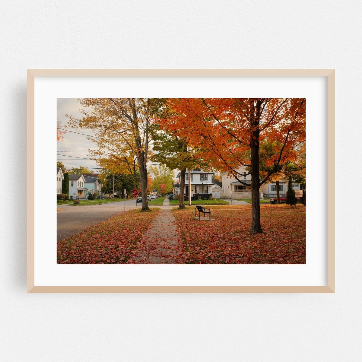 Autumn at Washington Park, Dunkirk – image 1 of 6