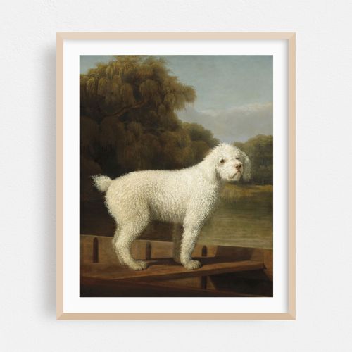 White Poodle in a Punt (c. 1780)