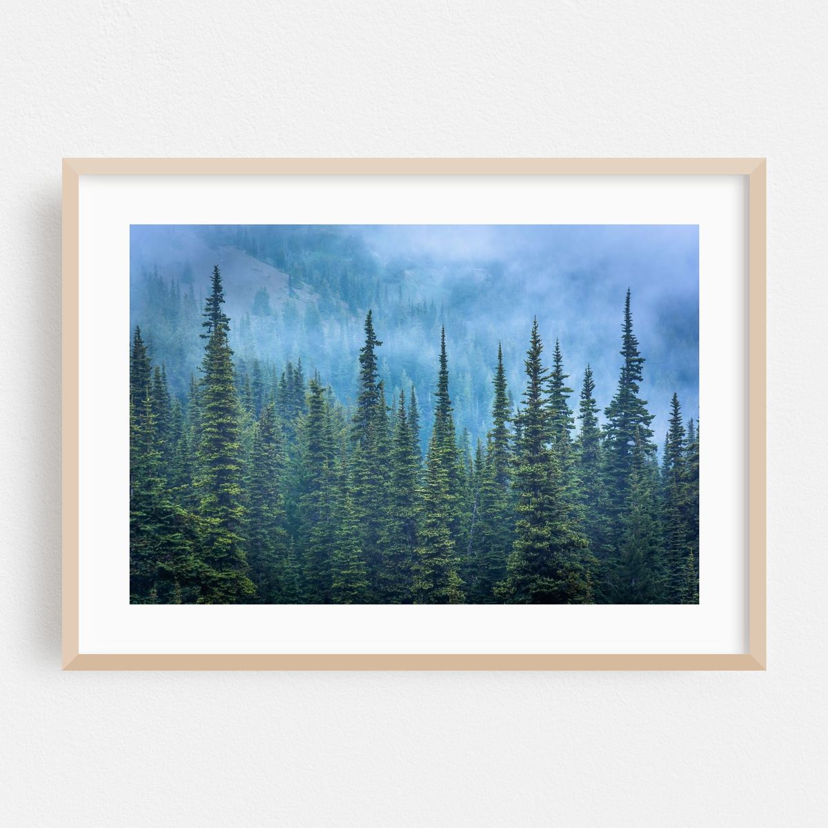 Hurricane Ridge Pines – image 1 of 8