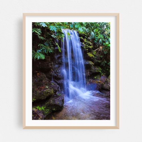 Rainbow Springs Waterfall