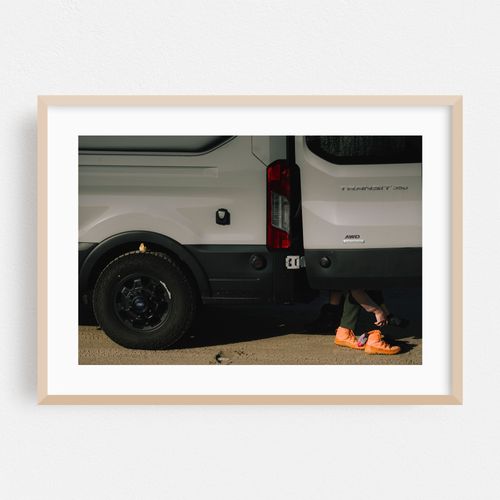 Bird on a Tire