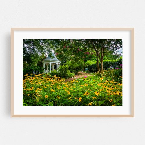 Colors; Gardens
