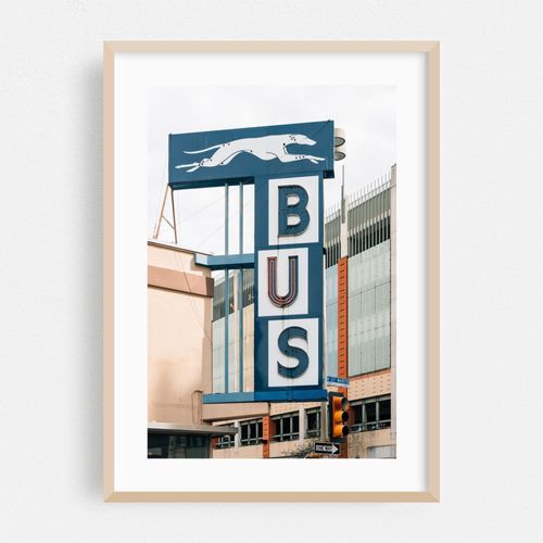 Greyhound