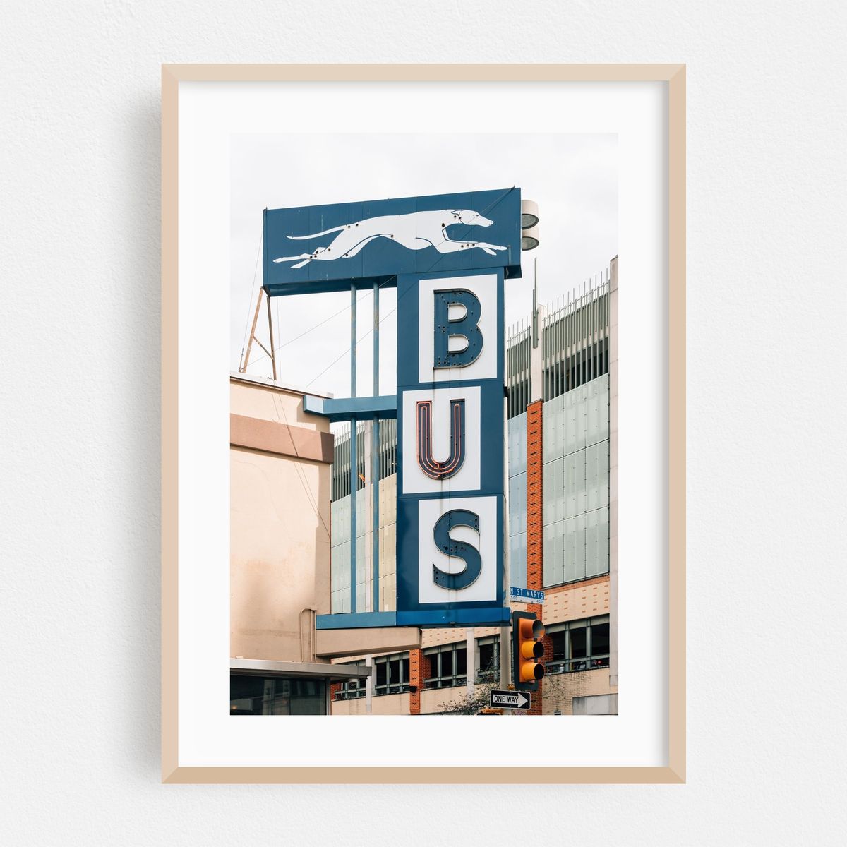 Greyhound – image 1 of 16