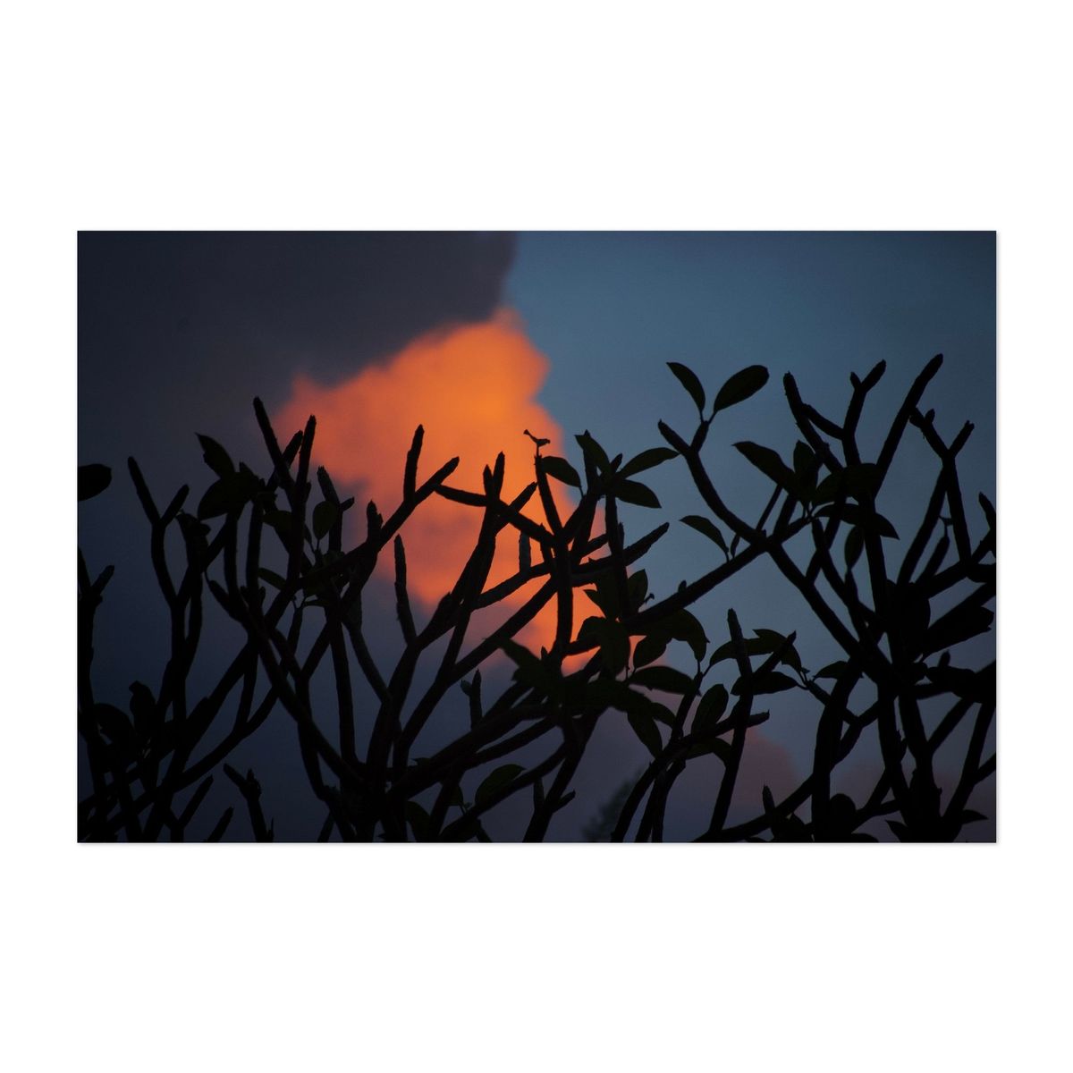 Silhouetted Serenity – image 1 of 2