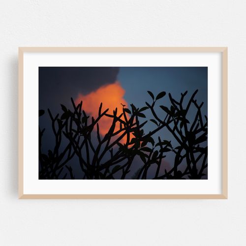 Silhouetted Serenity