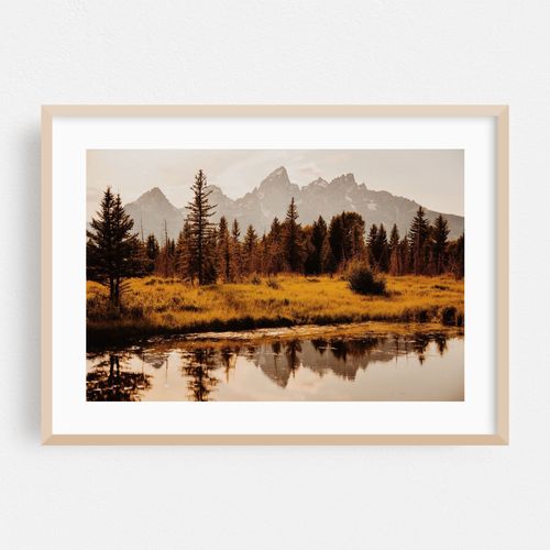 Schwabacher Landing