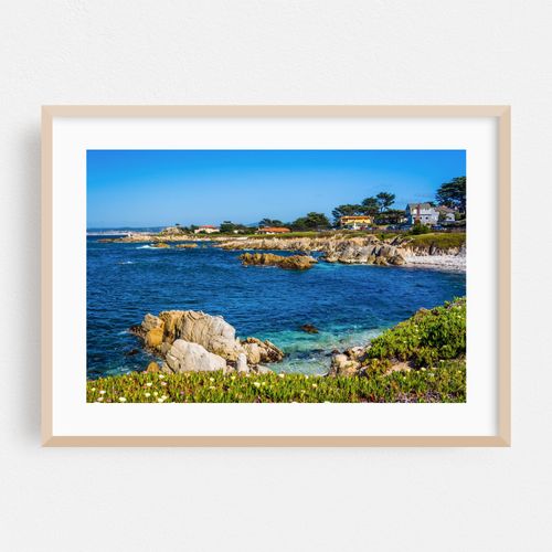 Rocky Pacific Grove
