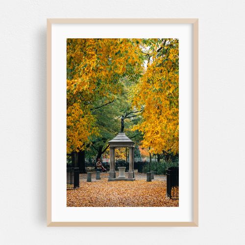 Tompkins Square Autumn