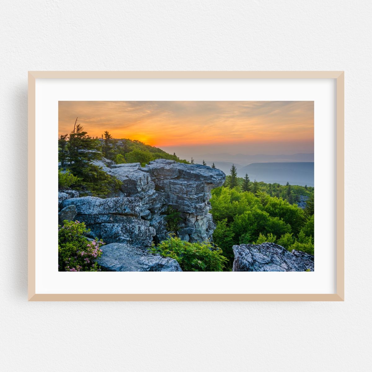 Bear Rocks Preserve – image 1 of 6