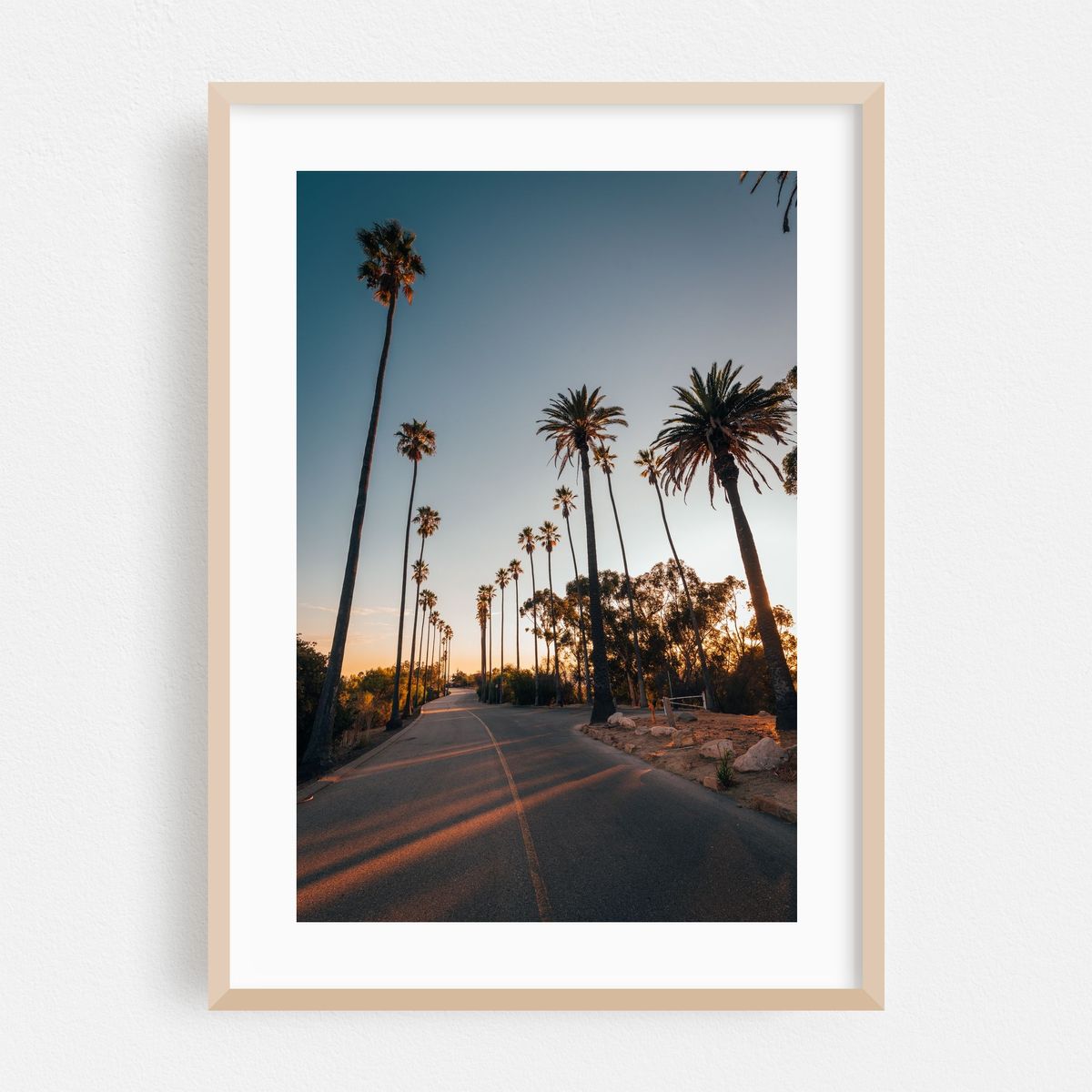 Elysian Park Palms – image 1 of 16