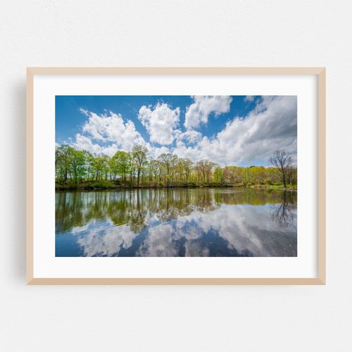 Duck Pond at Edgewood Park, New Haven 01