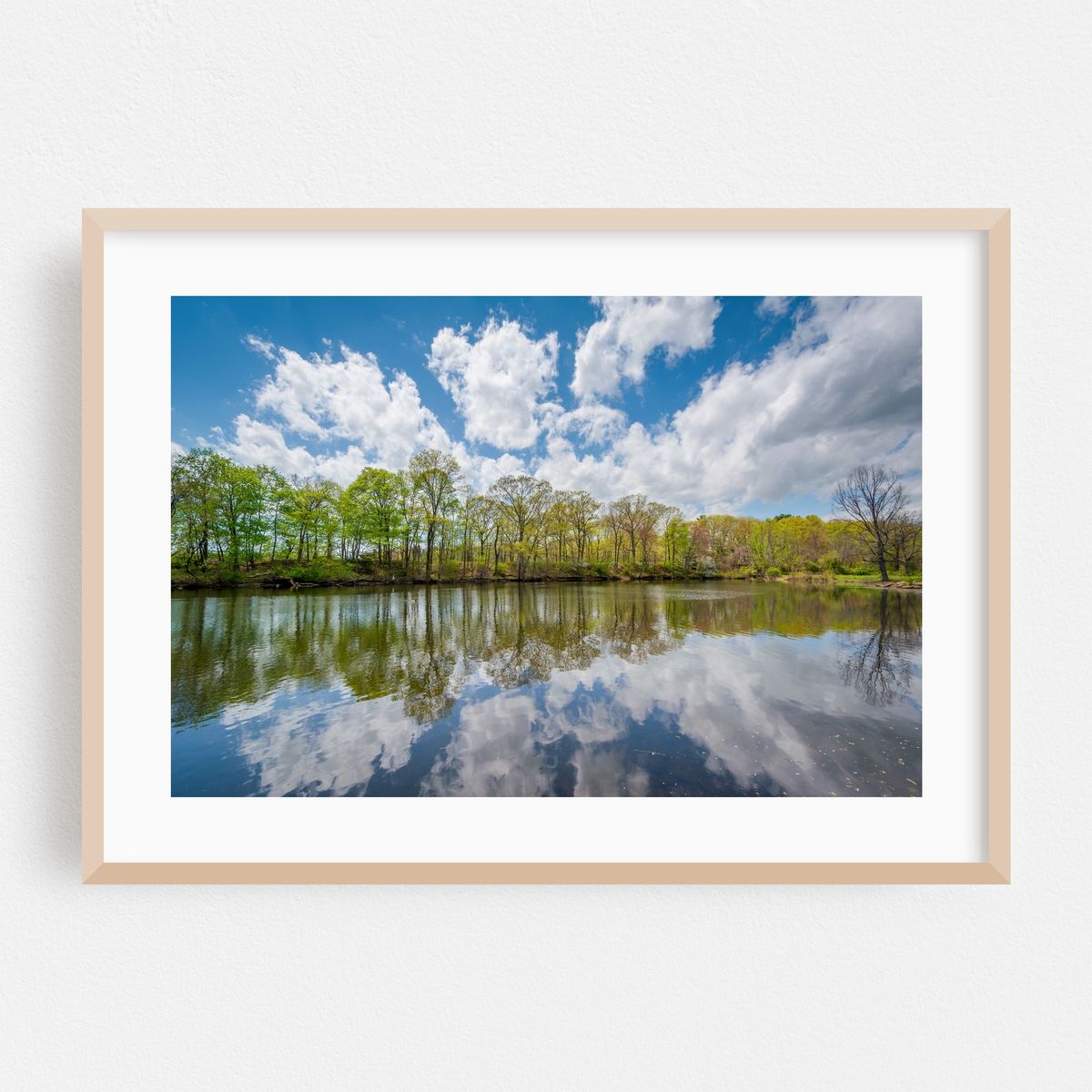 Duck Pond at Edgewood Park, New Haven 01 – image 1 of 6