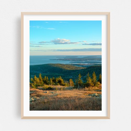 Penobscot Mountain, Acadia 02