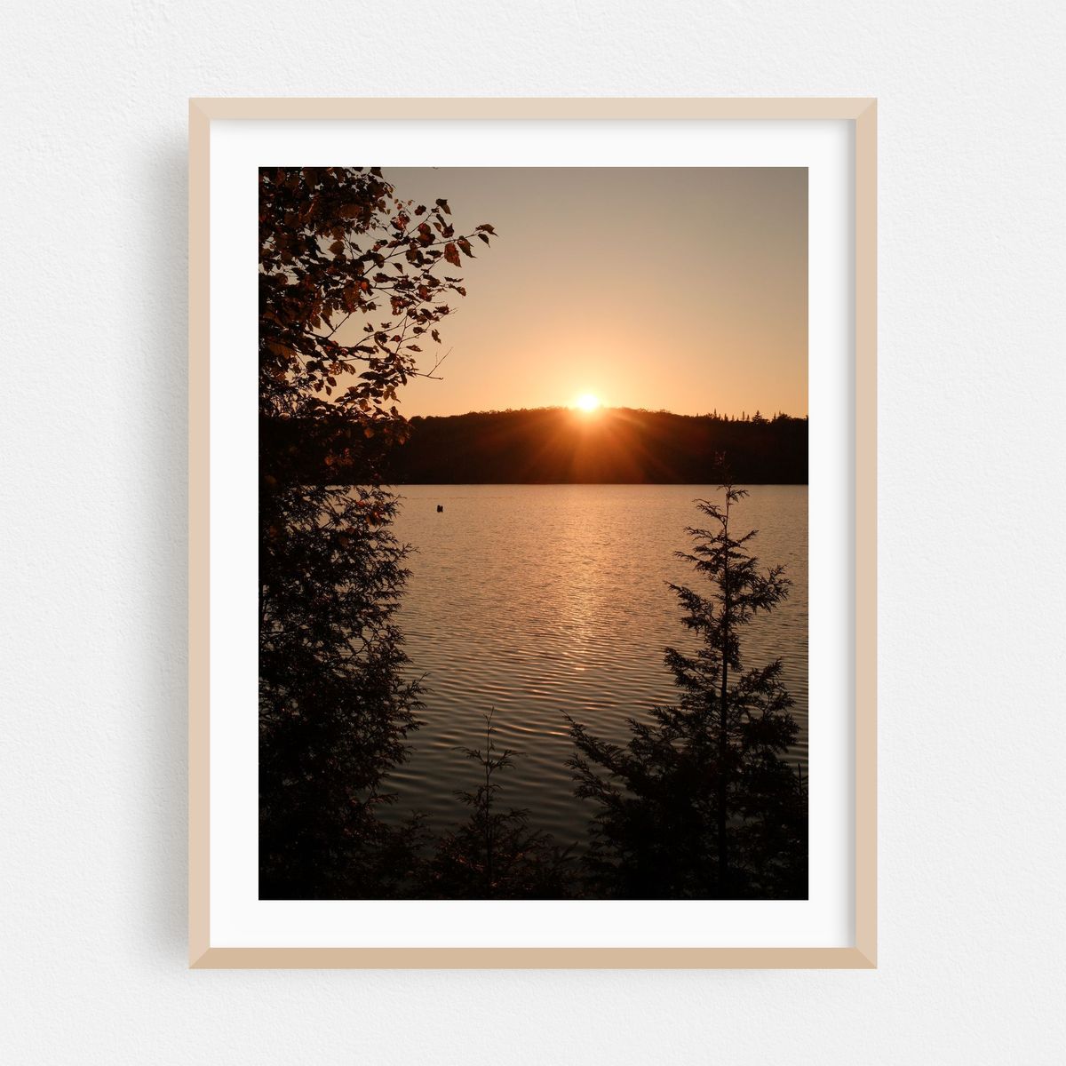 Sunset at Long Pond, Westmore – image 1 of 3