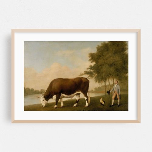 The Lincolnshire Ox (1790)