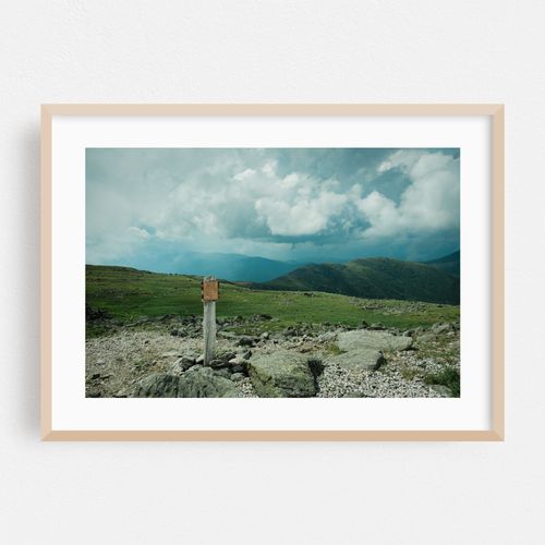 Alpine Zone, Mount Washington