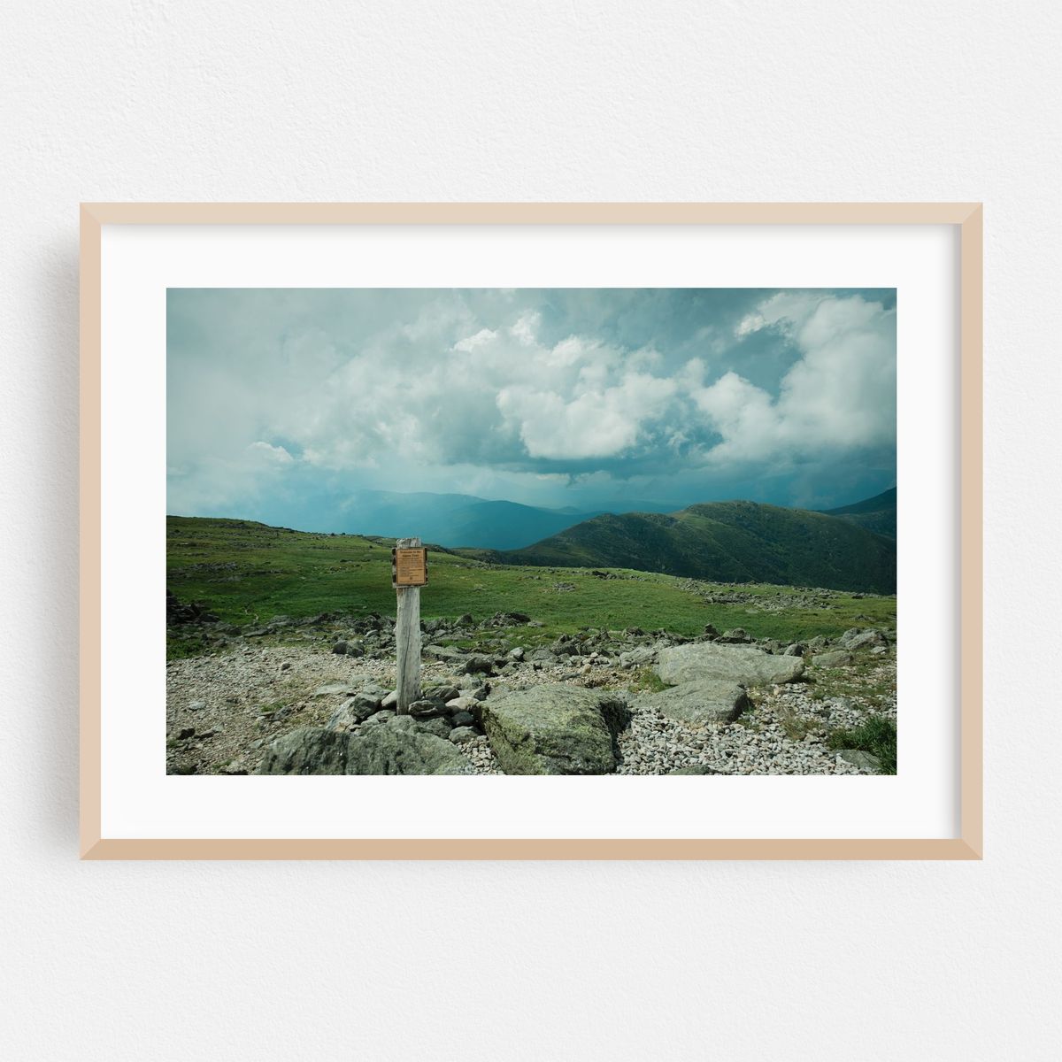 Alpine Zone, Mount Washington – image 1 of 6