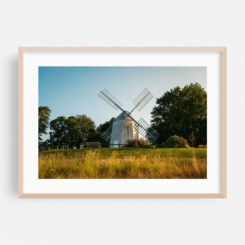 Jonathan Young Windmill, Orleans