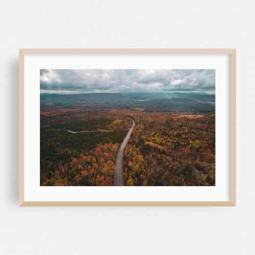 North Woods Autumn 03