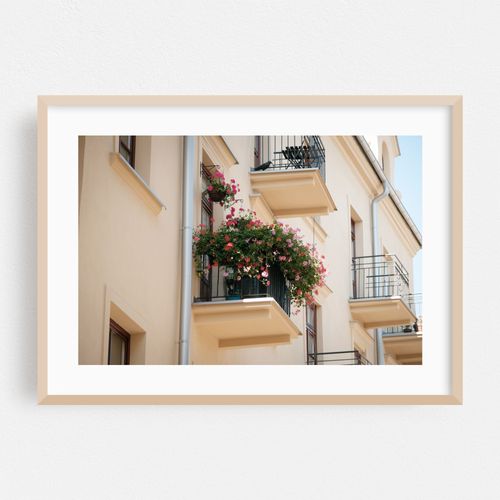 Flowers, Lublin