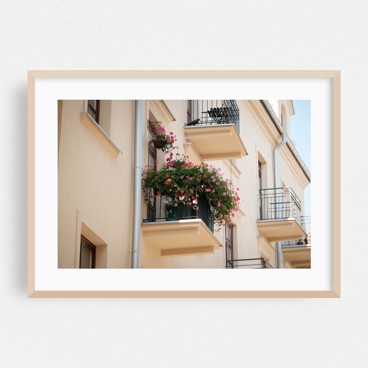 Flowers, Lublin – image 1 of 6