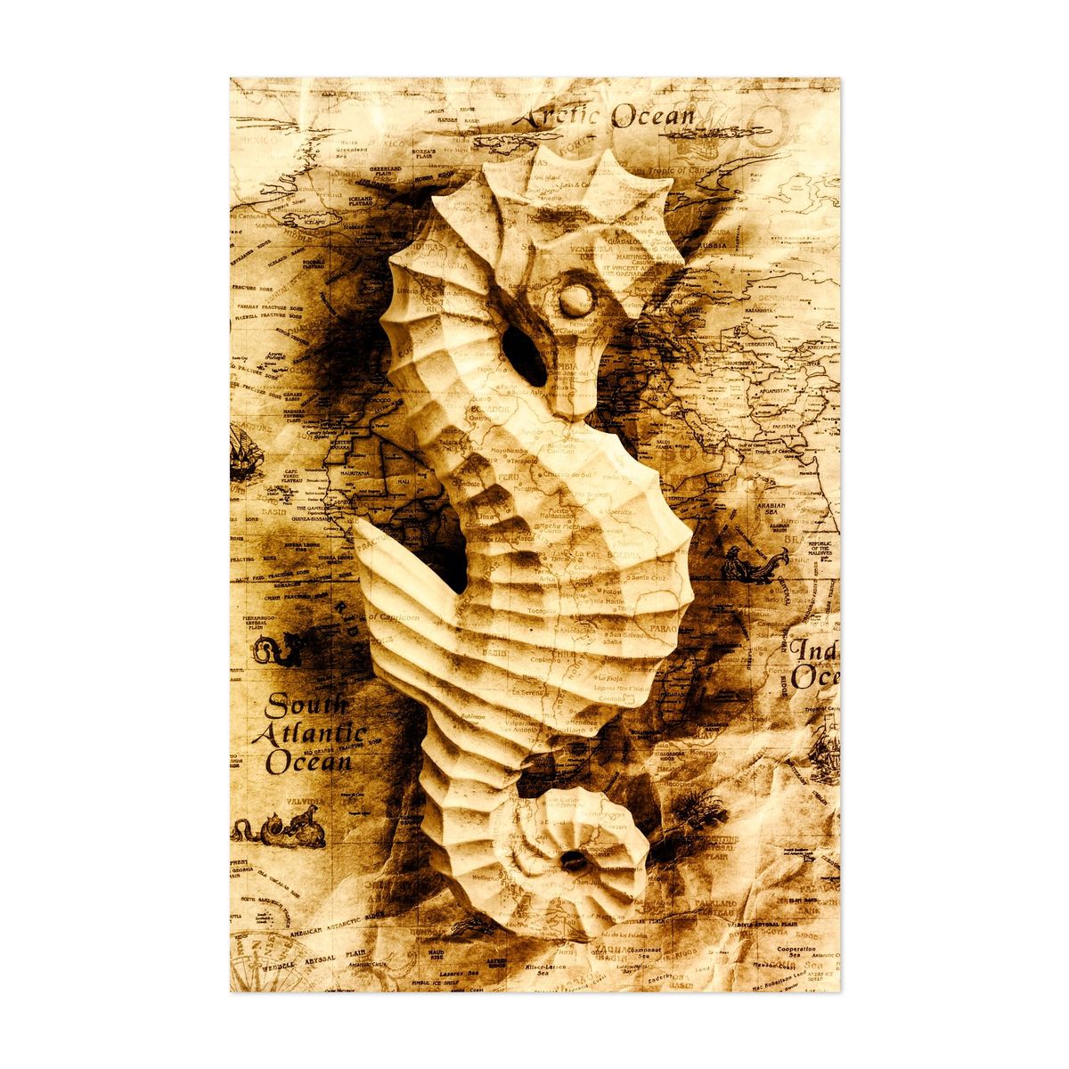 Seahorse Seas | Framer Gallery | Framed Wall Art Prints
