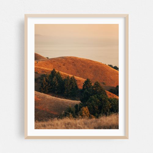 Tamalpais Evening View 02