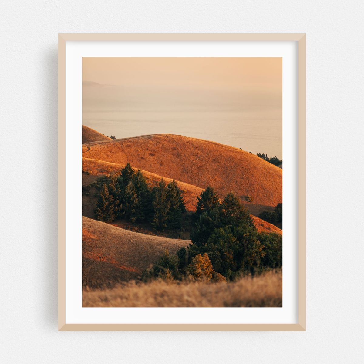 Tamalpais Evening View 02 – image 1 of 12