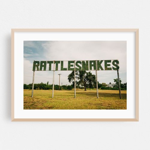 Rattlesnakes, Route 66