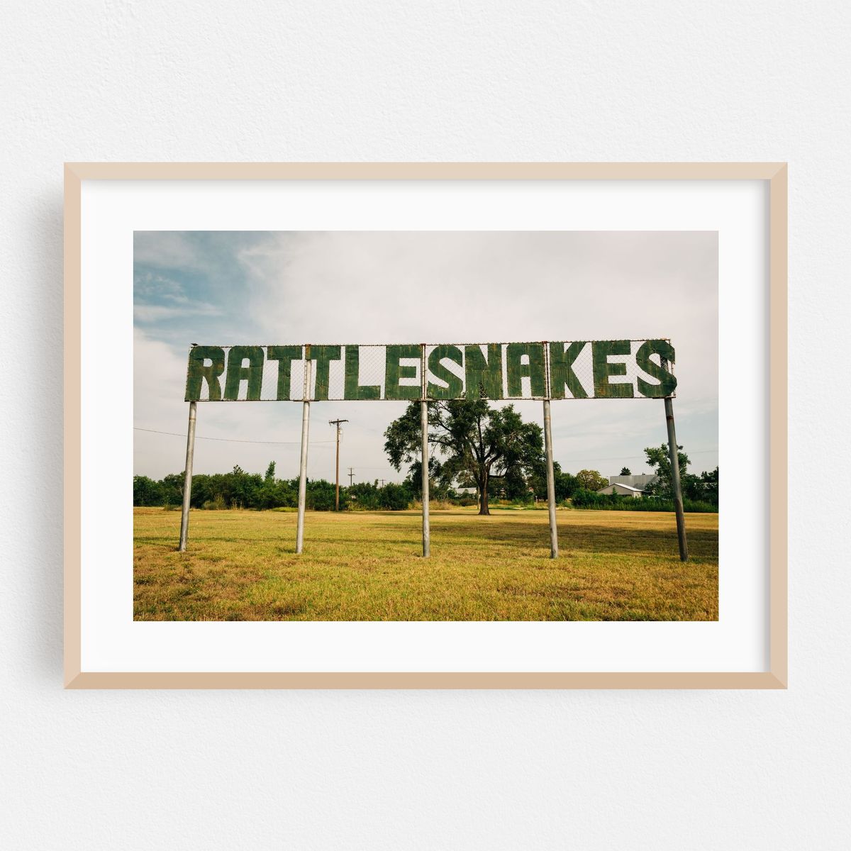 Rattlesnakes, Route 66 – image 1 of 6