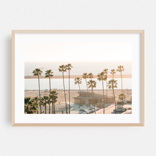 Palms, Corona del Mar 01