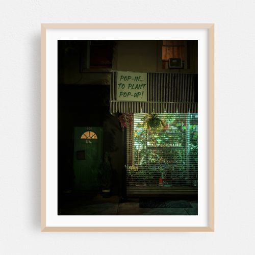 Plant Pop Up, Red Hook