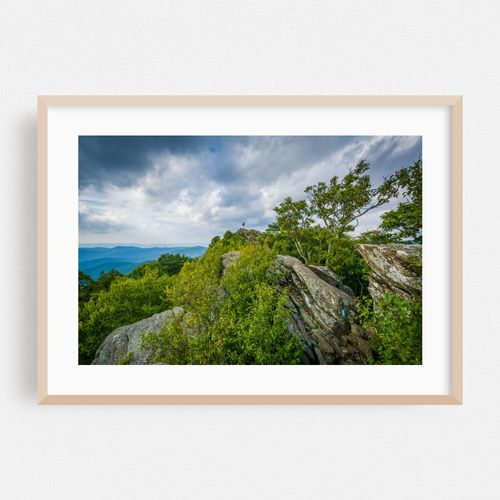 Rugged Bearfence