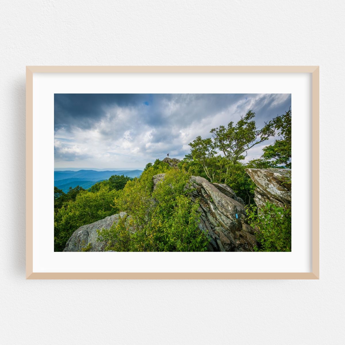 Rugged Bearfence – image 1 of 6