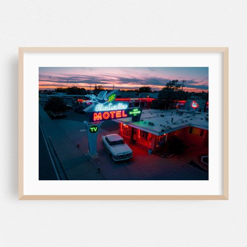 Blue Swallow Sunset 04