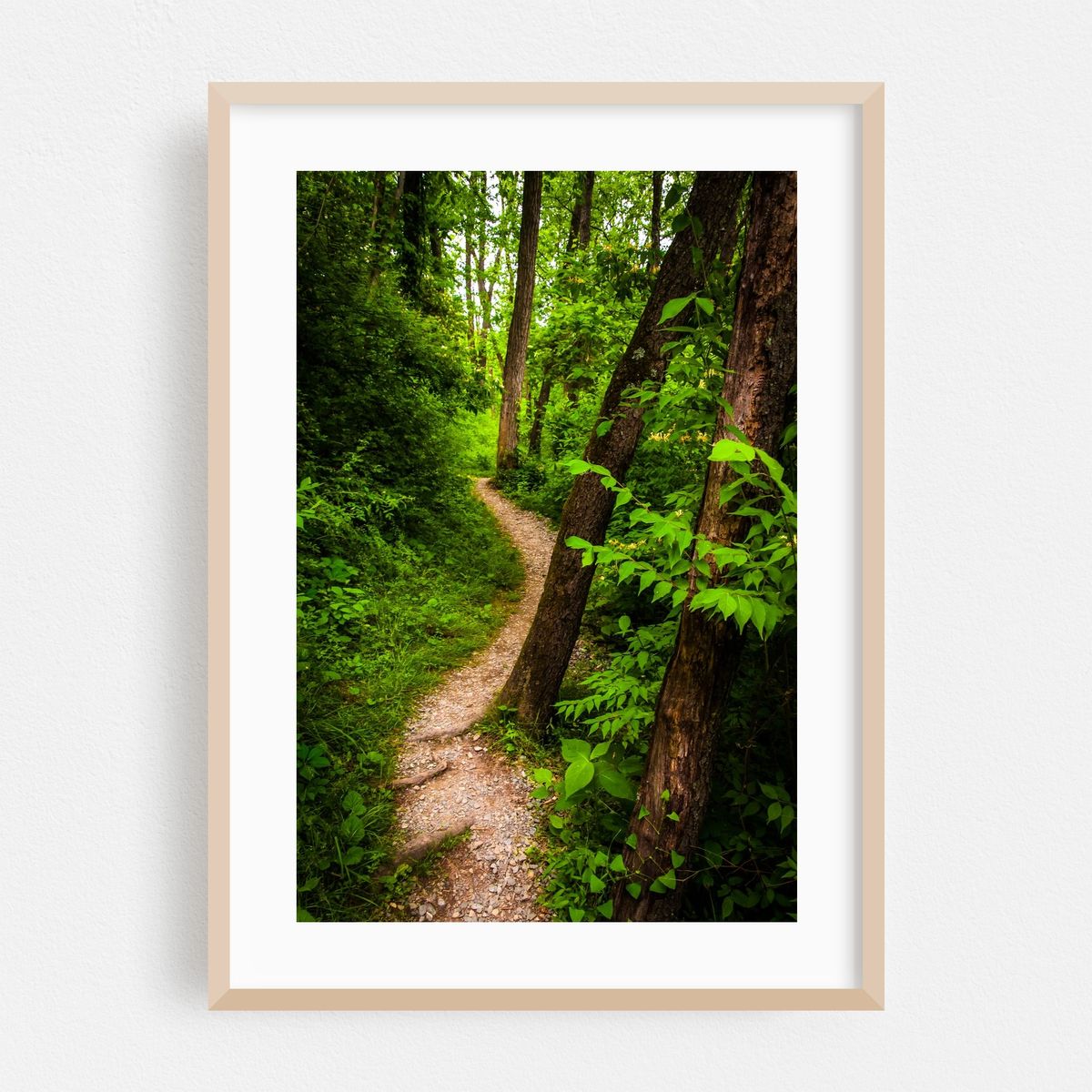 Hiking Codorus – image 1 of 16