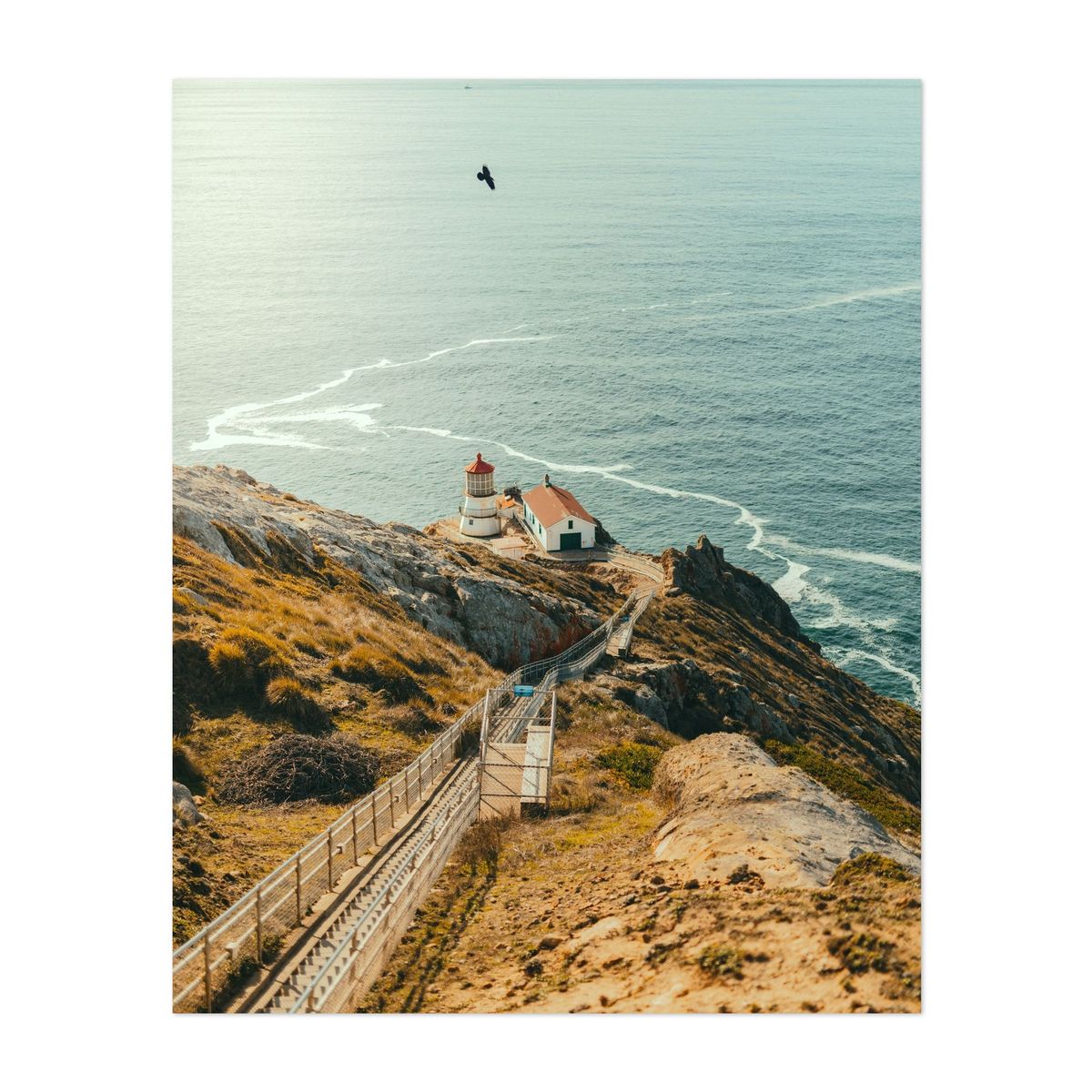 Point Reyes 01 - 2017 – image 1 of 2