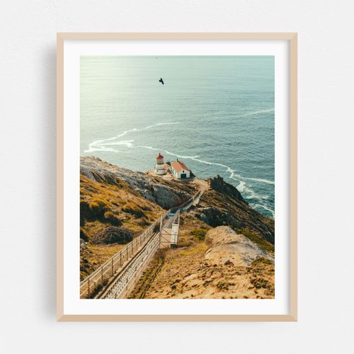 Point Reyes 01 - 2017