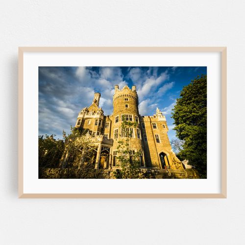 Casa Loma 02