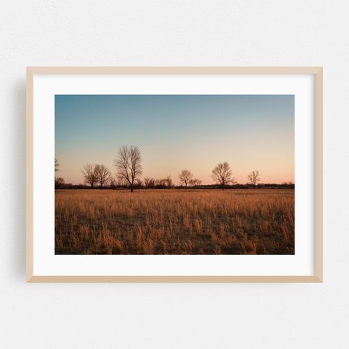 Fields at Sunset, Commerce
