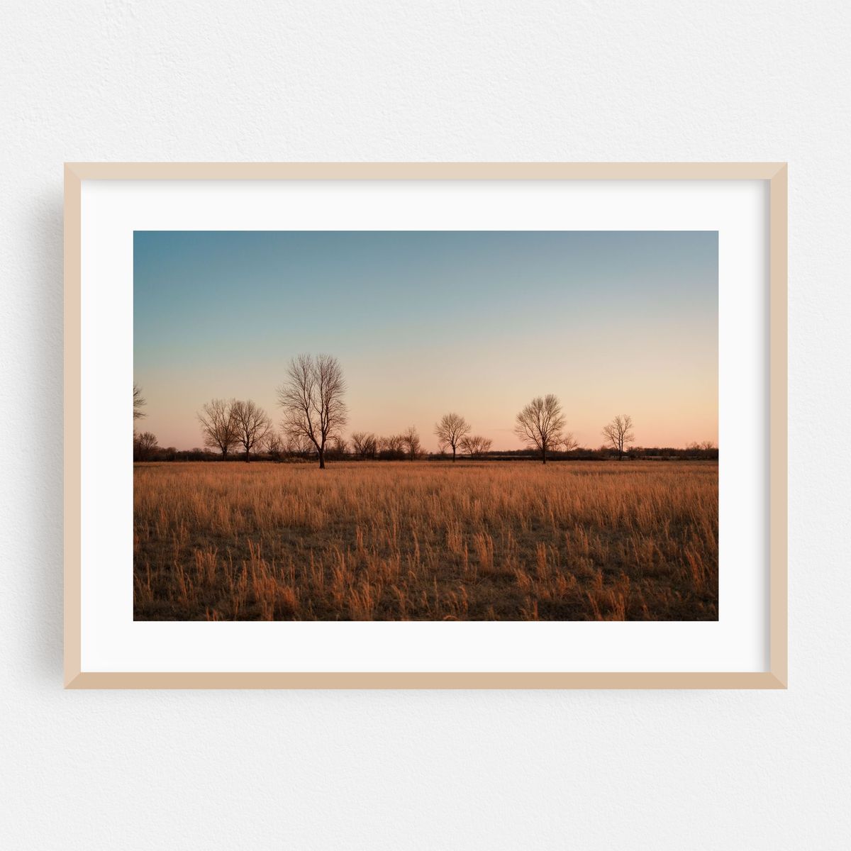 Fields at Sunset, Commerce – image 1 of 6