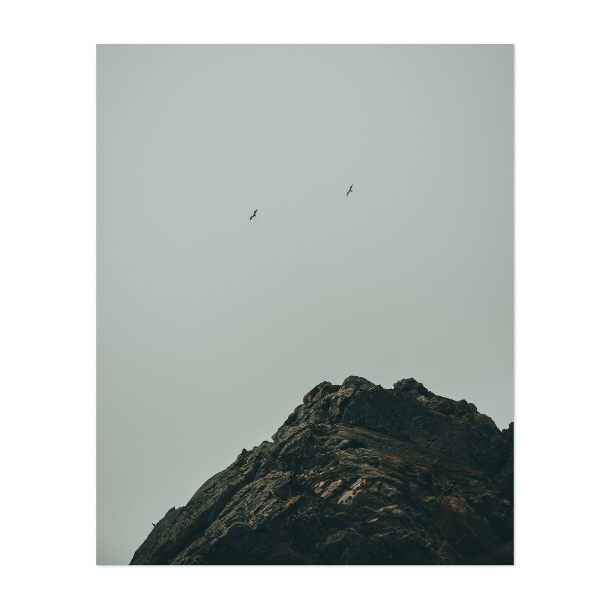 Point Reyes 05 - 2026 – image 1 of 2