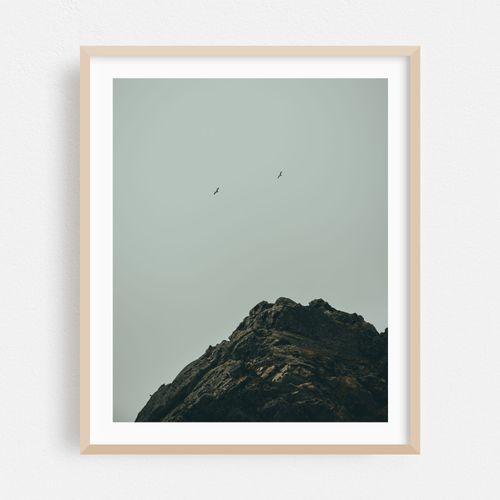 Point Reyes 05 - 2026