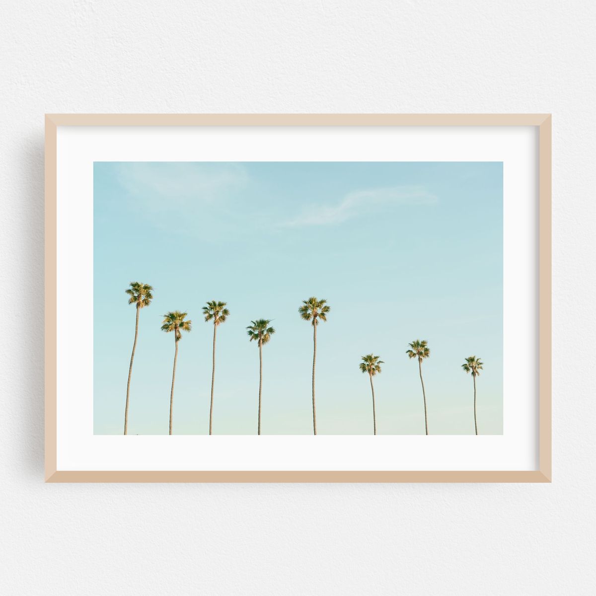 Palms in Corona Del Mar 02 – image 1 of 6